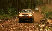 Ezcape on Royston Range